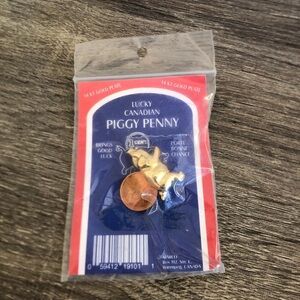 Vtg Lucky Canadian Piggy Penny Charm